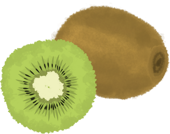 Fresh green kiwi fruit