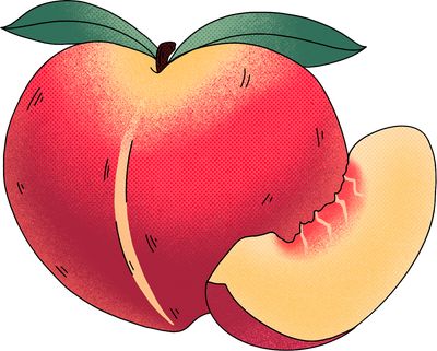 Cartoon Detailed Peach